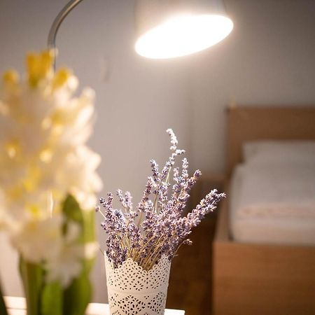 Free Parking! Linden Apartment, Ac, Smart Tv, Wifi Budapest Extérieur photo